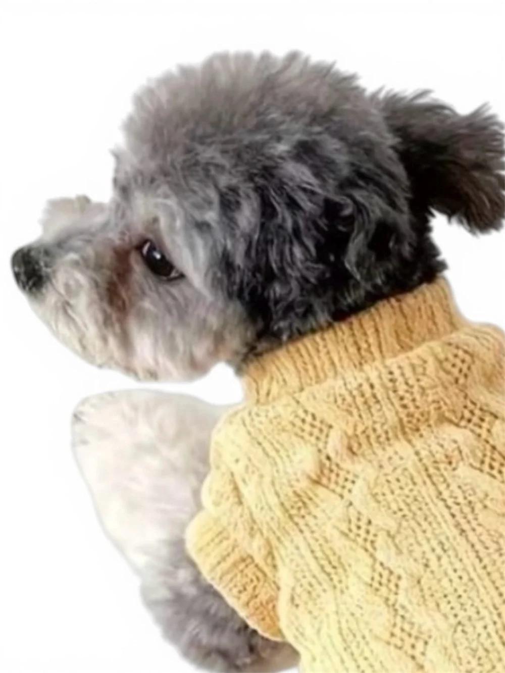 COMFY KNIT PULLOVER PET SWEATER WITH TED TEXTURE IN YELLOW - BRAND NEW